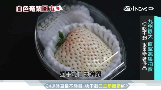 日本創意果農　水果打造成「奢侈品」