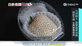 日本創意果農　水果打造成「奢侈品」