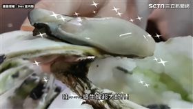 生蠔飽滿鮮甜。（圖／Ines 宜內斯 Youtube頻道 授權）