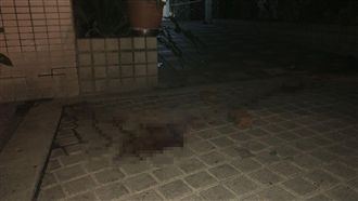 殺母砍頭兇嫌是老么　靠父退休俸過活