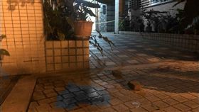 桃園中壢傳命案！男殺母親屍體留12樓　砍斷頭顱丟下1樓,兒子
圖／記者林恩如攝（血跡已經變色處理）