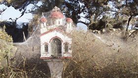 希臘北部的維斯托尼達湖（Lake Vistonida）最近被數以十萬計小型蜘蛛所織的巨網覆蓋，這層總長約1公里的「白紗」。（圖／翻攝自@DebbyDonnelly 推特）