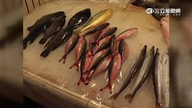 過度捕撈闖大禍 40年後全球沒海鮮吃!