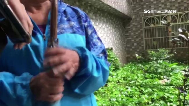 弒母案死者個性好　人送外號小辣椒