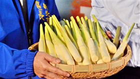 三芝金山美人腿　友善耕作茭白筍鮮甜上市