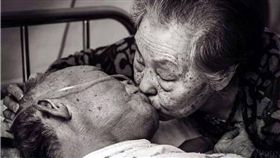 圖／翻攝自網路