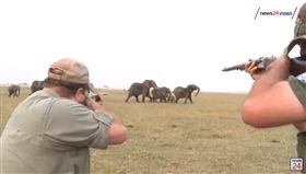 ▲狂象的進擊！2獵人開槍獵雄象　象群暴怒衝過去（圖／翻攝自News24 YouTube）