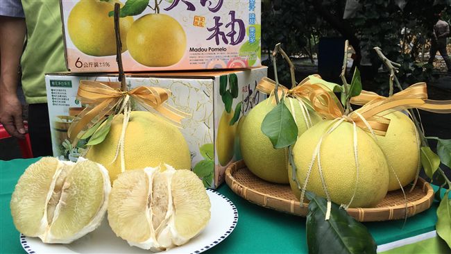 台南大白柚盛產期　口感佳營養價值高