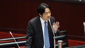 談判定位已開發國家　賴揆：與美牛豬進口無關台灣日前在世界貿易組織會議中承諾，未來談判不再主張開發中國家，引發立委質疑。行政院長賴清德19日在立法院表示，「跟美國沒有暗盤，也沒有犧牲台灣的權益。」也與美國牛、豬肉進口沒有相關。中央社記者張皓安攝　107年10月19日