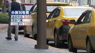 嘔吐在小黃該付多少？行情價曝光