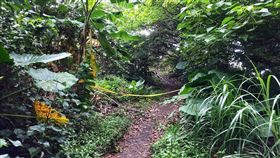 新北,萬里加投,上吊,自殺（圖／翻攝畫面）