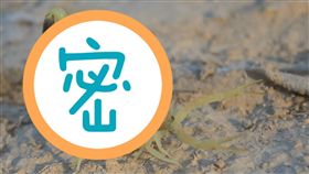 世上最貴液體！「這東西」比人還貴　1公升價值破3億（圖／翻攝自維基百科）