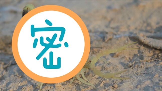 世上最貴液體「好毒」！1公升要3億
