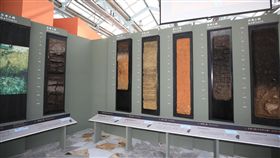 花博外埔園區智農館，展出逾千種珍稀植物（台中市政府提供）