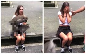 印尼,潑猴,正妹,野戰,愛愛（圖／翻攝自YouTube）