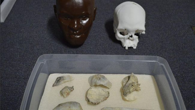 萬年人類化石露西亞　里約博物館尋獲