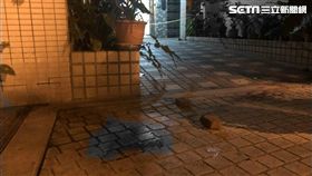 桃園中壢傳命案！男殺母親屍體留12樓　砍斷頭顱丟下1樓,兒子
圖／記者林恩如攝（血跡已經變色處理）