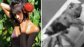 （圖／翻攝自Issaraporn Samutgalin 臉書）泰國,殺貓,分屍,器官