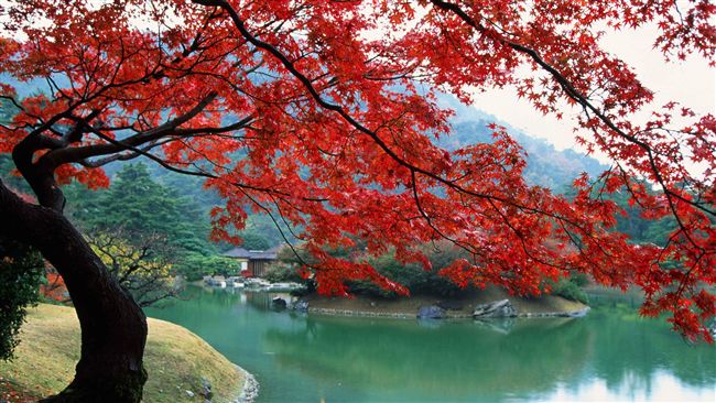 日本再發現！深入四國探索自然祕境