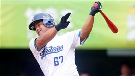 富邦悍將張承駿。（圖／富邦悍將提供）