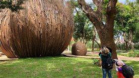 台中市府攝影師補捉花博之美(圖/台中市政府提供)