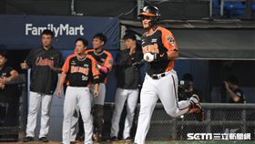 統一獅楊家維開轟與隊友慶祝。（圖／記者王怡翔攝影）