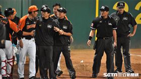 統一獅黃甘霖總教練上場抗議。（圖／記者王怡翔攝影）