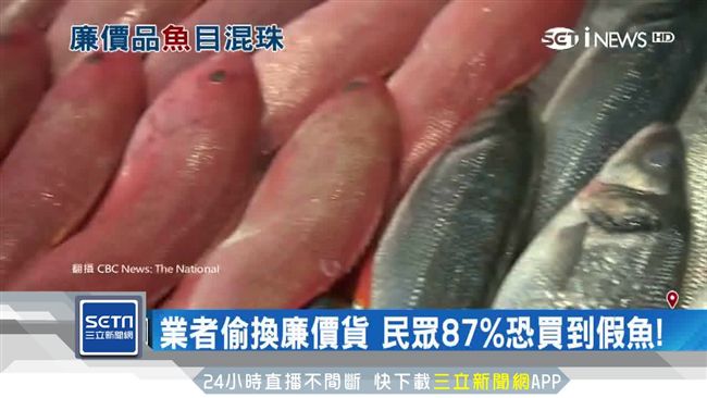 汙染魚混入真貨　來路不明掀食安風波