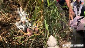 彰化男返鄉尋祖墳突歸天陪祖先／翻攝畫面