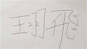 台鐵,普悠瑪,王羽飛,卑南
翻攝畫面