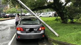 地震狂搖18秒！中研院路燈被晃倒　一旁轎車遭殃　圖／翻攝畫面