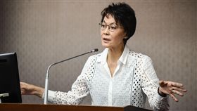 國民黨立委黃昭順質詢。 （圖／記者林敬旻攝）