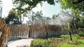 花博森隆活虎館(圖/台中市政府提供)