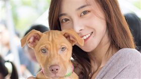 台北,松菸,Uplive,奎丁,張媽媽流浪動物之家,毛小孩,浪浪。Uplive提供