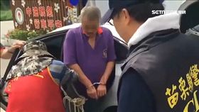 頭分 網鴿 嫌犯 警車