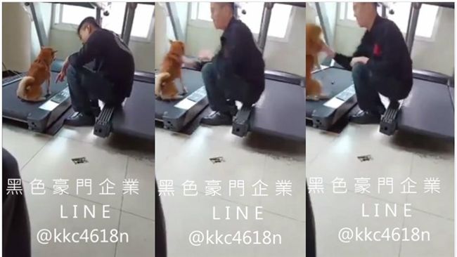不爽狗隨意便溺　消防員一掌打飛柴柴