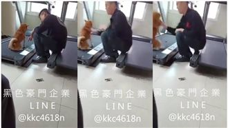 不爽狗隨意便溺　消防員一掌打飛柴柴