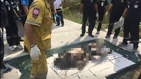 泰國,曼谷,素食店,化糞池,碎肉(圖/翻攝自泰國網)