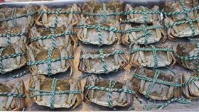 大閘蟹(圖/翻攝網路)