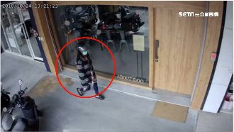 做賊喊抓賊？獸醫救斑鳩遭黑見死不救