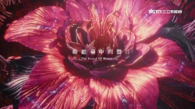 台中花博宣傳片爆好評　助選林佳龍！