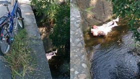 充氣娃娃,女友,渣男,射後不理,爆料公社　圖／翻攝自臉書爆料公社