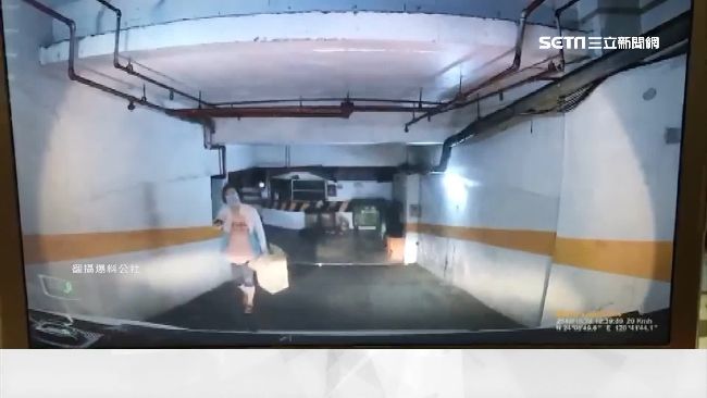 小白狗亂竄車道險被輾　大媽怒嗆駕駛