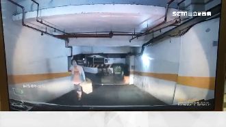 小白狗亂竄車道險被輾　大媽怒嗆駕駛