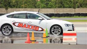 Maxxis Victra Sport 5(圖/車訊網)