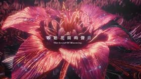 花博開幕形象影片（圖／台中市政府提供）