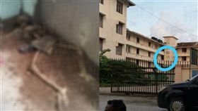 大馬廢棄宿舍驚見整具人骨！下半身仍穿著短褲　鞋子剩一隻（圖／翻攝自東方日報）