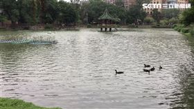 台大醉月湖驚見男子浮屍