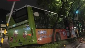 台北,277,公車,分隔島,路樹,大都會客運。翻攝畫面