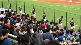 桃園棒球場桃猿球迷。（圖／記者王怡翔攝影）